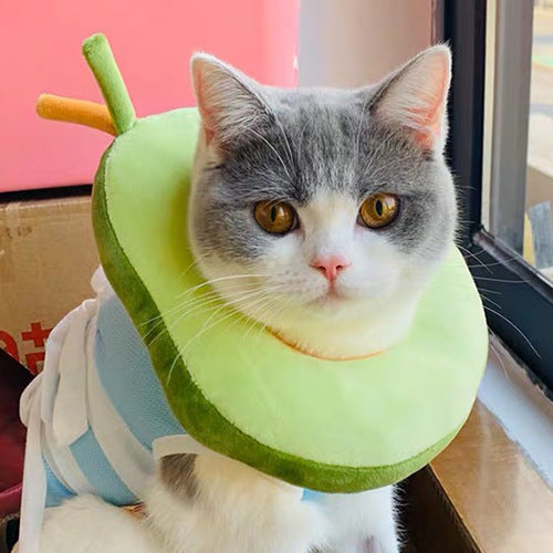 Avocado Recovery Collar - Post-Surgery Anti-Bite Cone for Pets